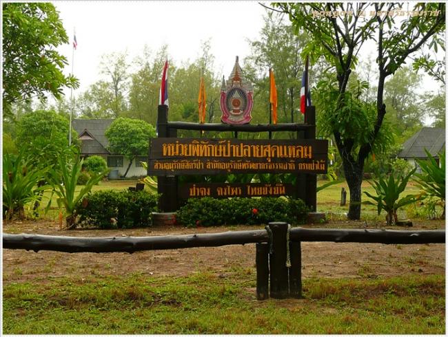 NST108.JPG